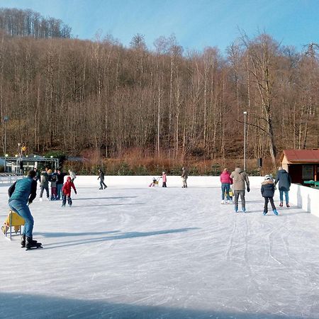 Fewo-Radau Bad Harzburg Dış mekan fotoğraf