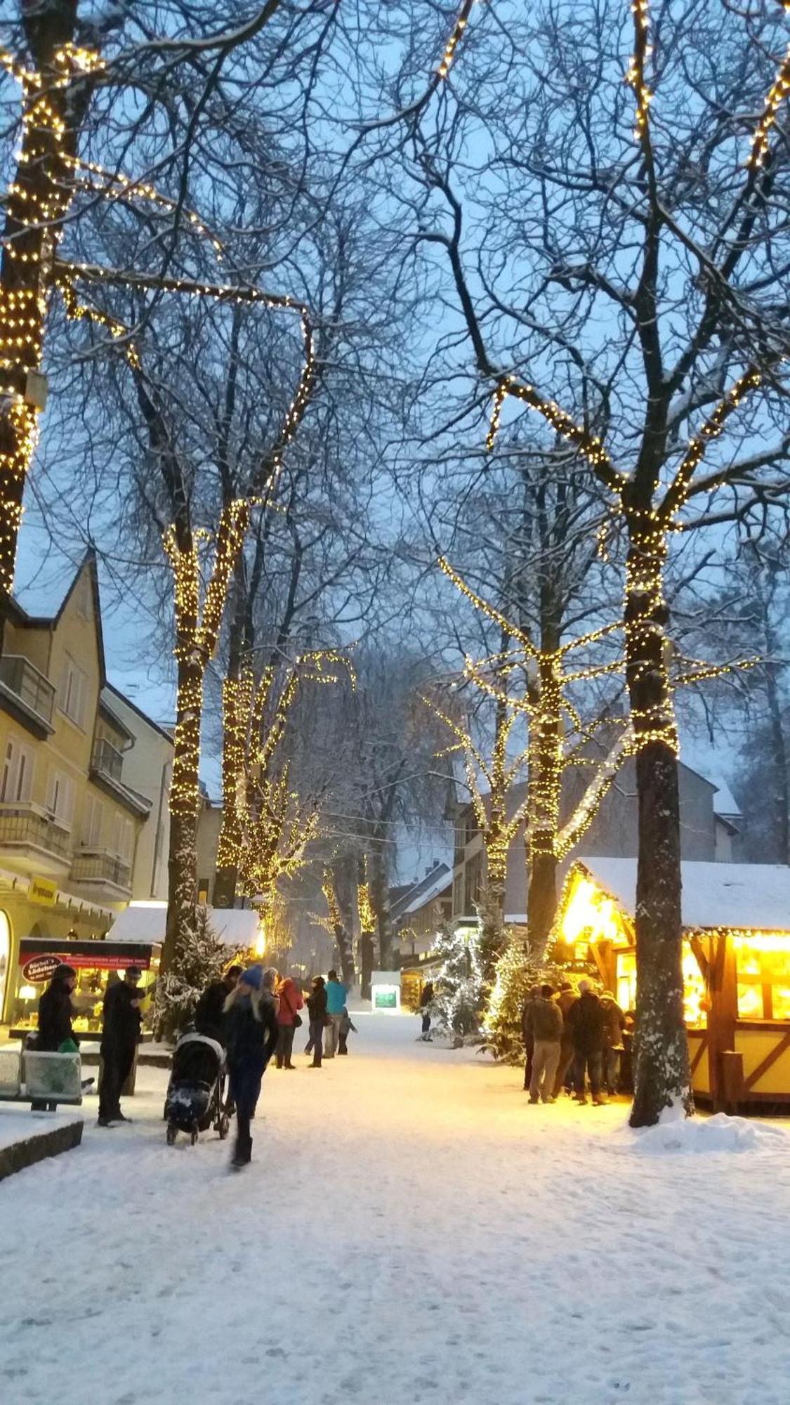 Fewo-Radau Bad Harzburg Dış mekan fotoğraf