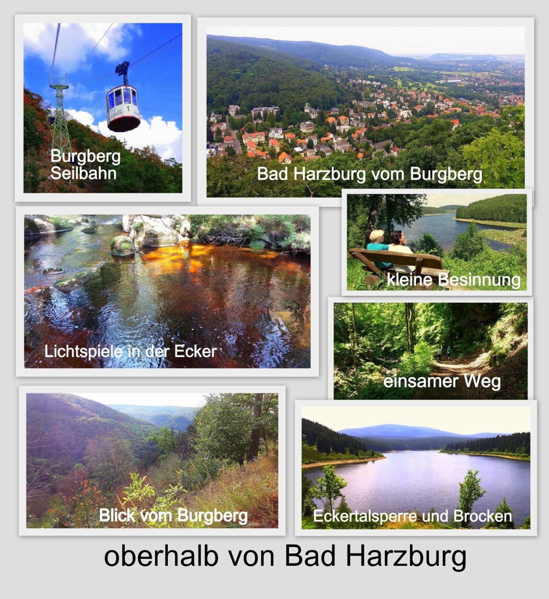 Fewo-Radau Bad Harzburg Dış mekan fotoğraf