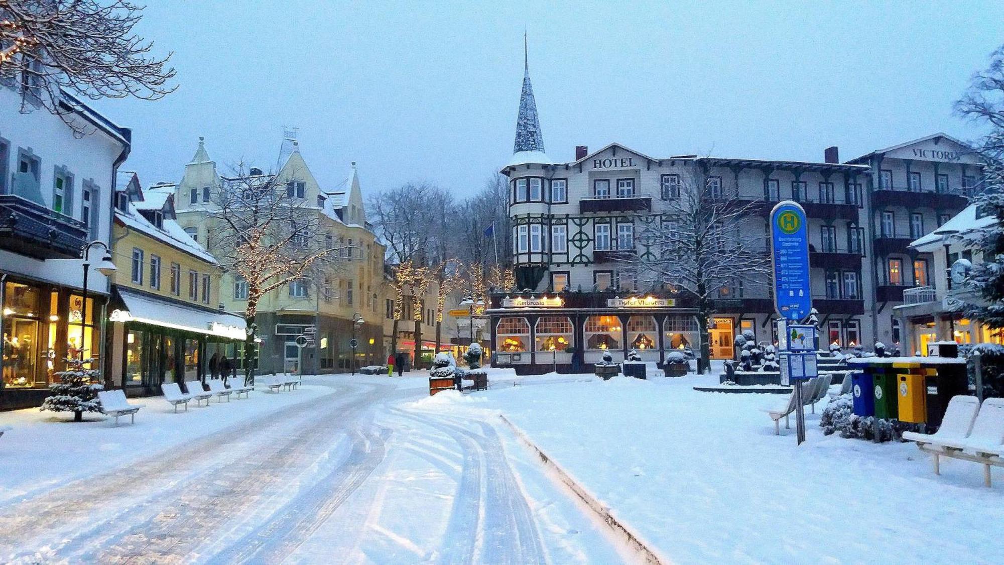 Fewo-Radau Bad Harzburg Dış mekan fotoğraf