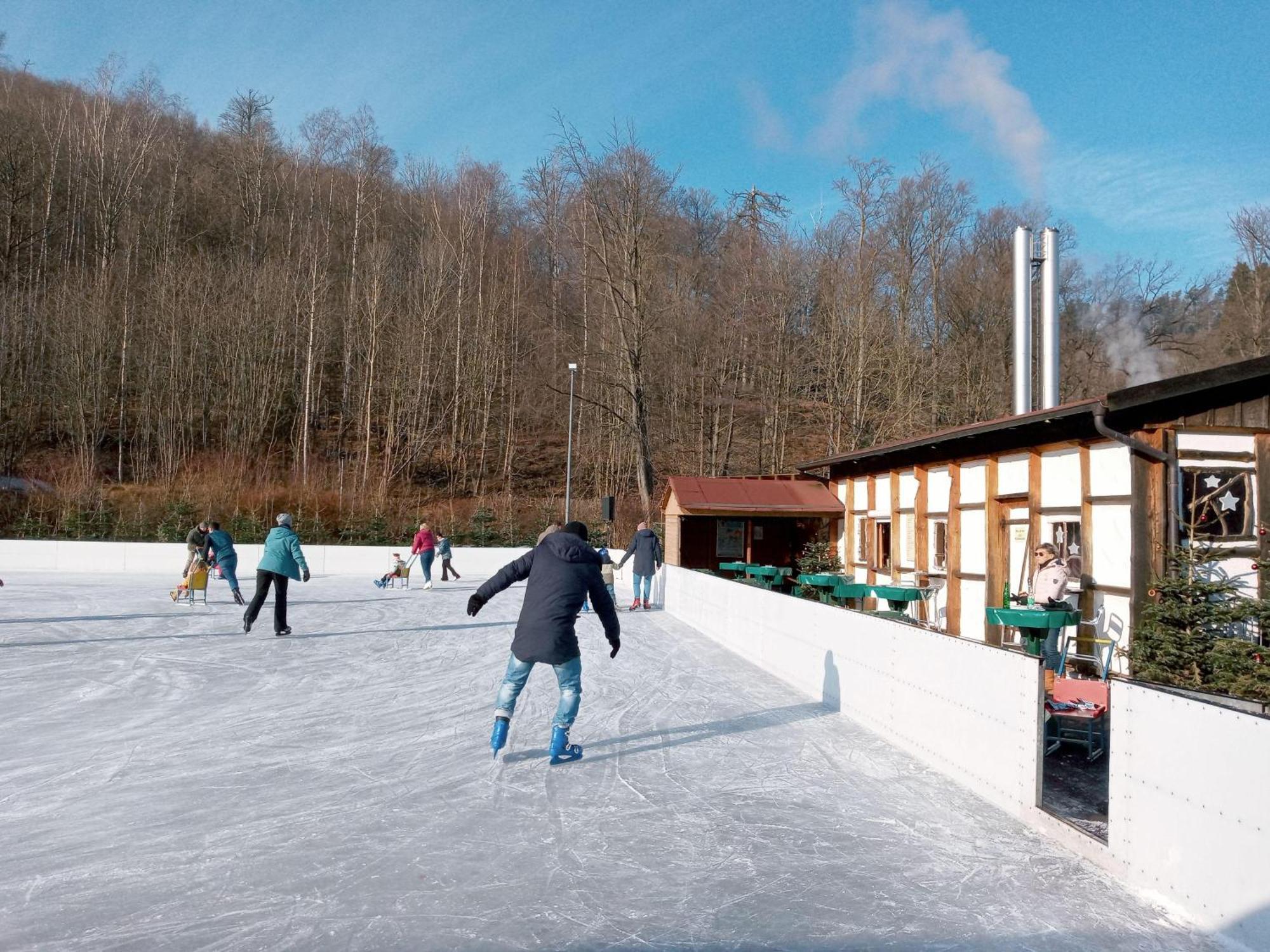 Fewo-Radau Bad Harzburg Dış mekan fotoğraf