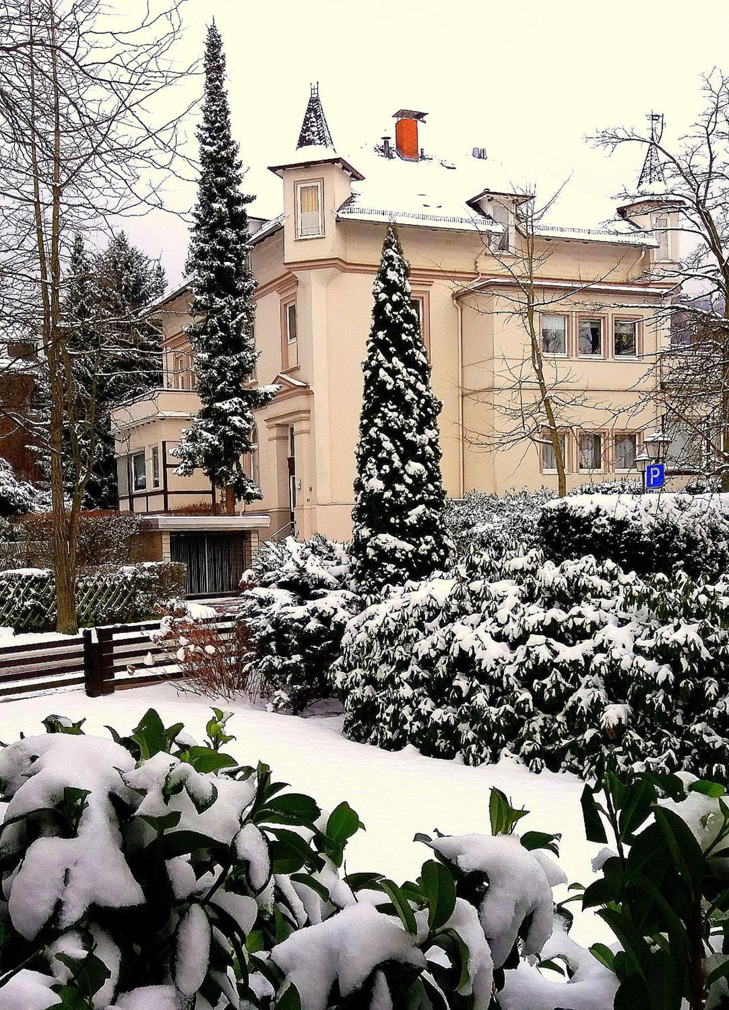 Fewo-Radau Bad Harzburg Dış mekan fotoğraf